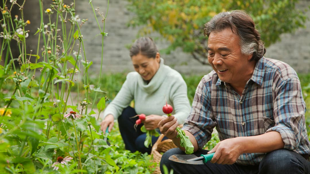 Unexpected Practices for Relieving Agitation in People Living with Mem...